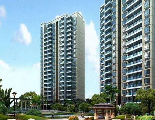 海南文昌市小戶型的生紙潛力4